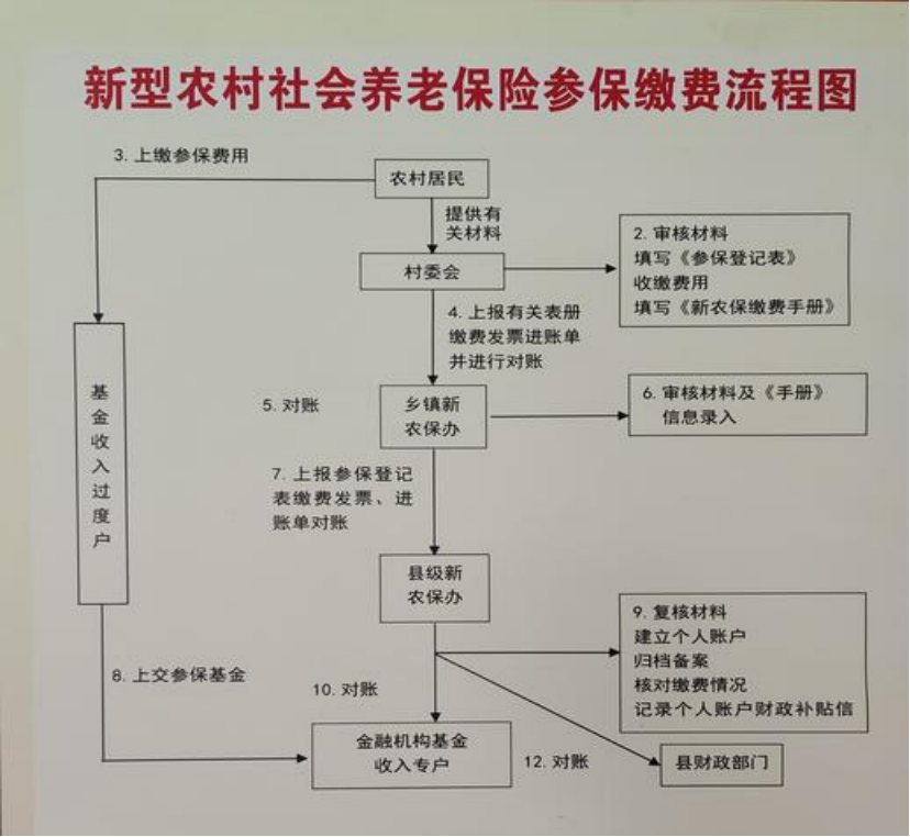 朝阳农村医保和社保有什么区别(农村医保跟社保的区别)